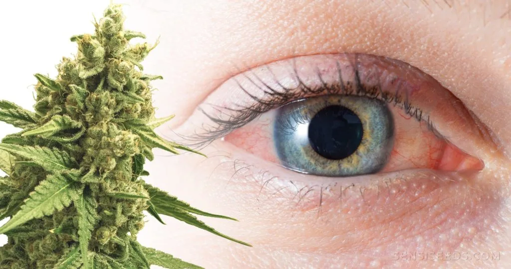 Le CBD peut-il rendre vos yeux rouges ?