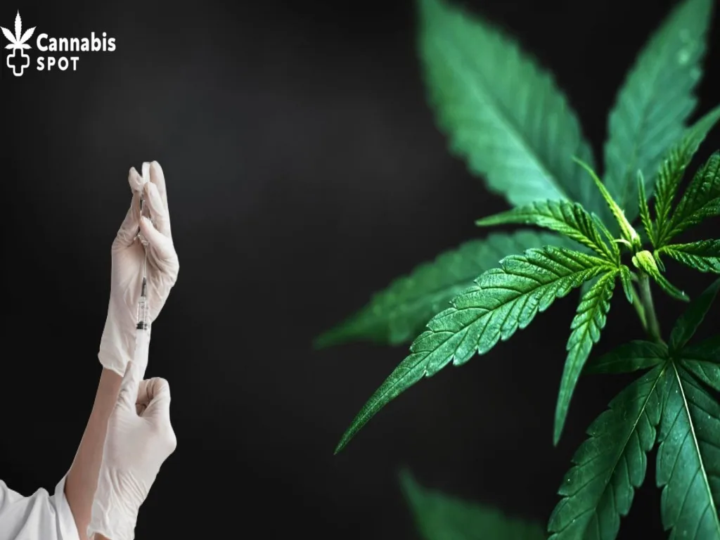 La marijuana interagit-elle avec le vaccin contre le COVID-19 ?