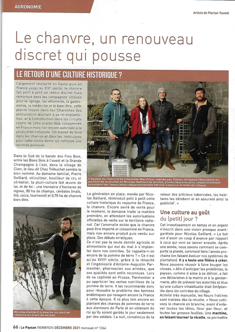 Le chanvre était-il déjà connu dans la Chine préhistorique ? Comment sa culture a-t-elle commencé ?